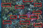 魔力宝贝sf挂机升级最佳设置 打怪经验两不误
