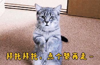 如何在魔力宝贝私服中保持游戏热情